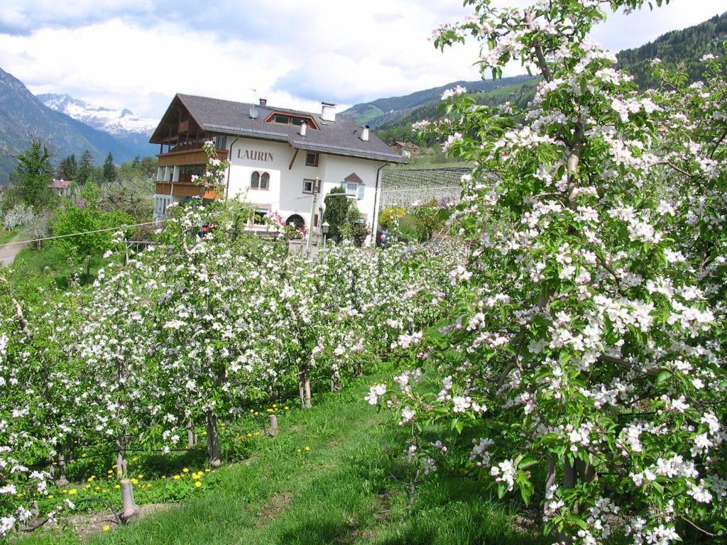 Pension Laurin Schenna Exterior photo